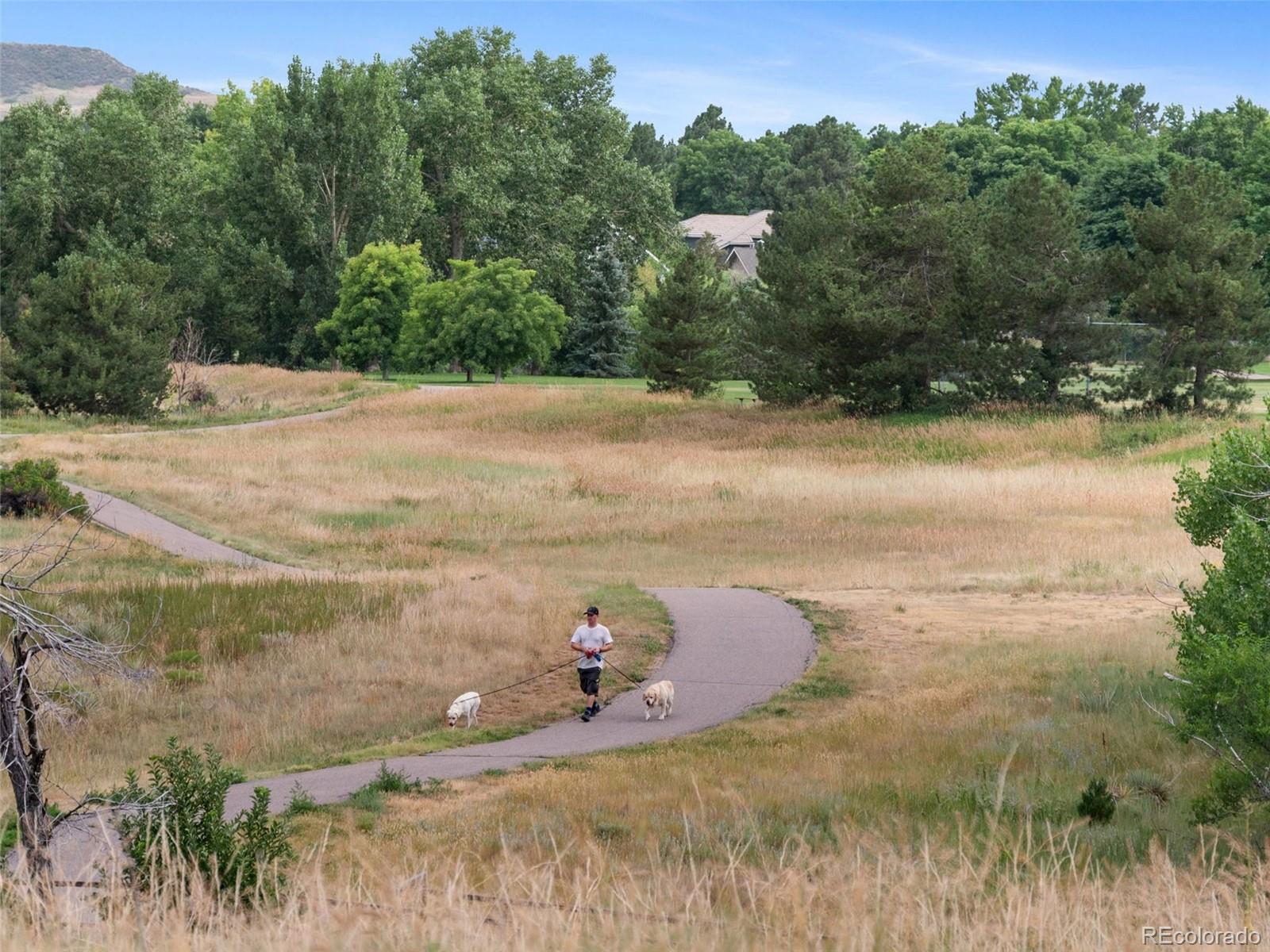 MLS Image #37 for 8159  lodgepole trail,lone tree, Colorado