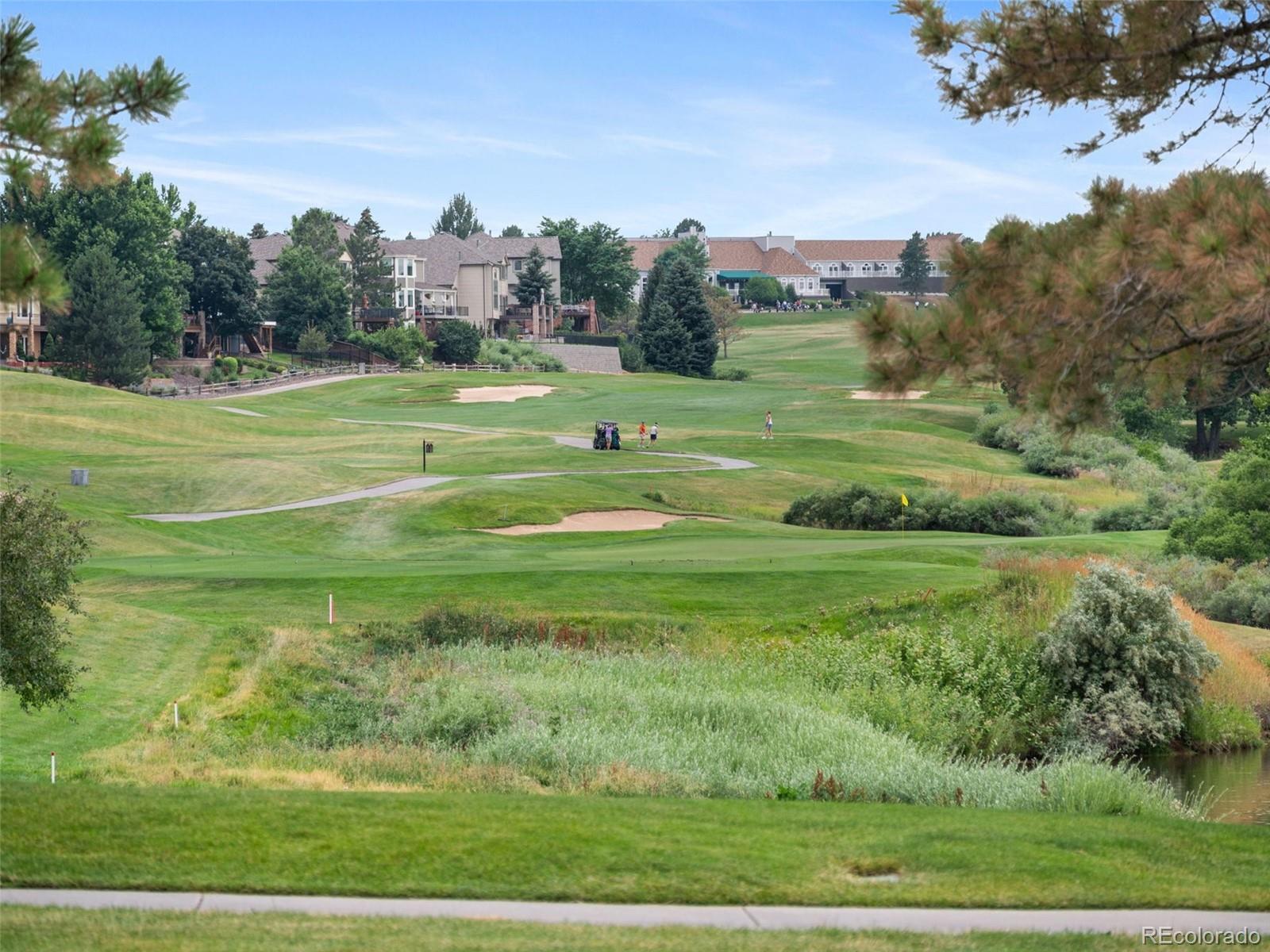 MLS Image #43 for 8159  lodgepole trail,lone tree, Colorado