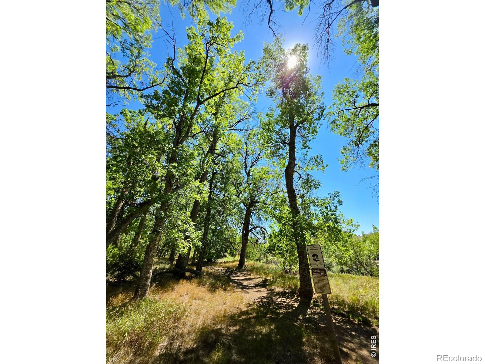 MLS Image #29 for 2421  owens avenue,fort collins, Colorado