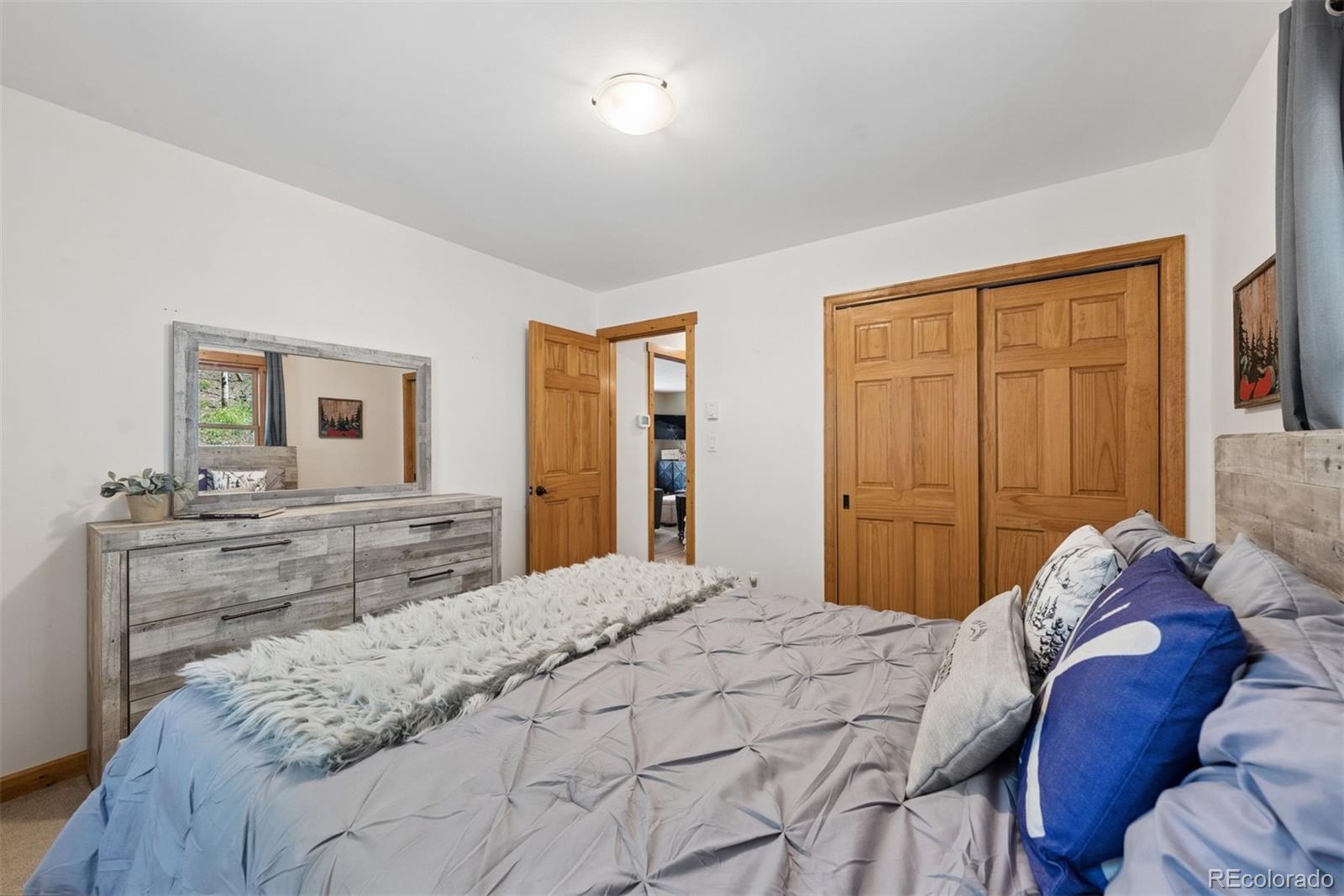 MLS Image #15 for 4388  witter gulch road,evergreen, Colorado