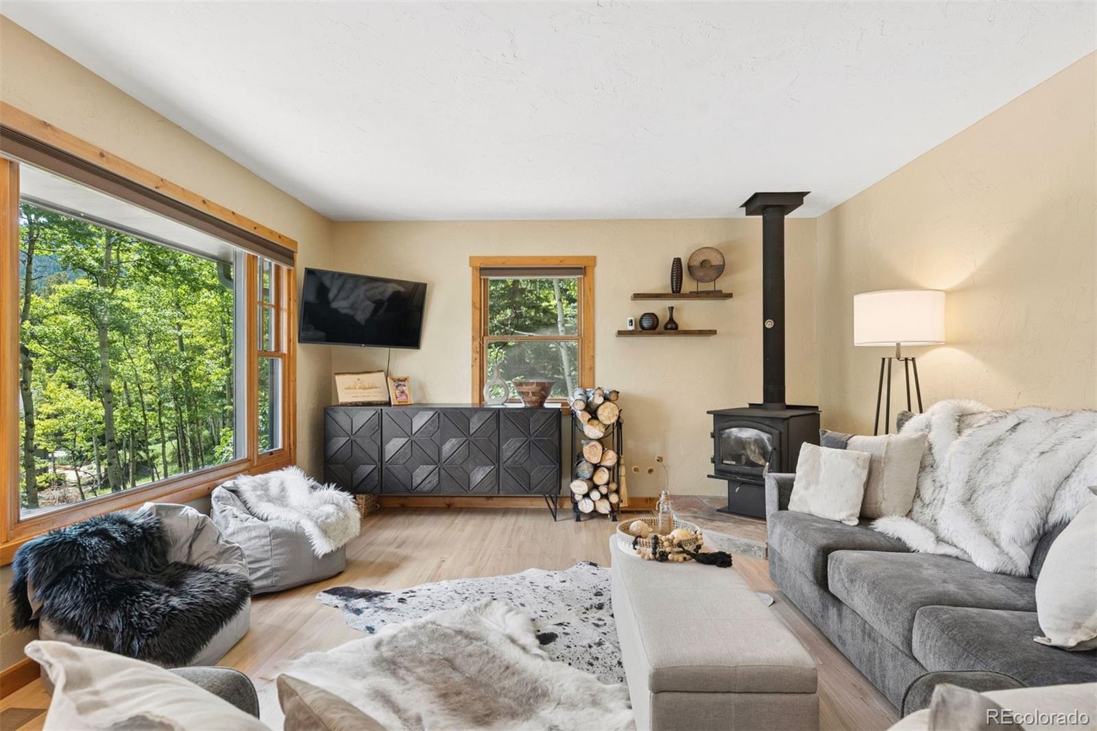 MLS Image #6 for 4388  witter gulch road,evergreen, Colorado
