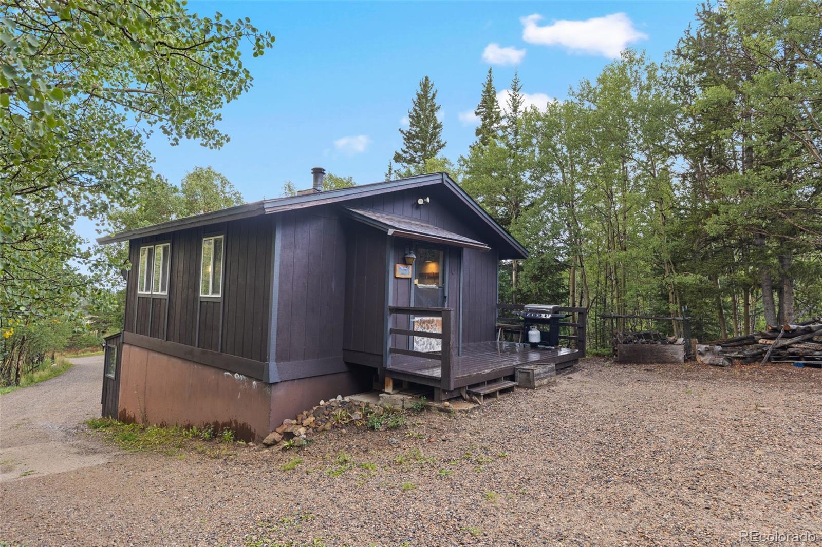 MLS Image #21 for 35  ore court,fairplay, Colorado
