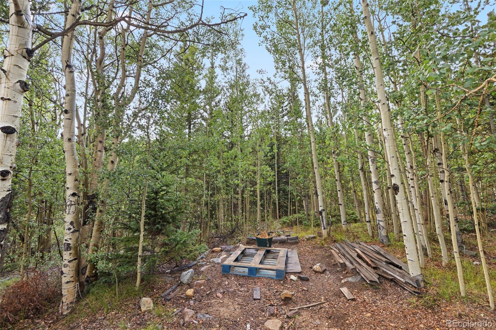 MLS Image #35 for 35  ore court,fairplay, Colorado