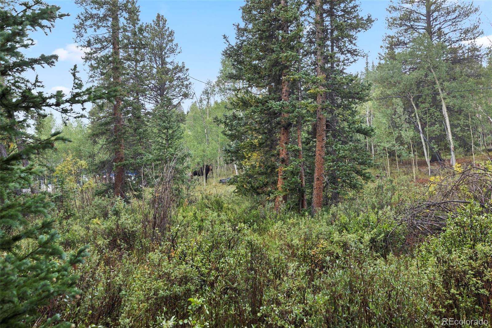 MLS Image #36 for 35  ore court,fairplay, Colorado