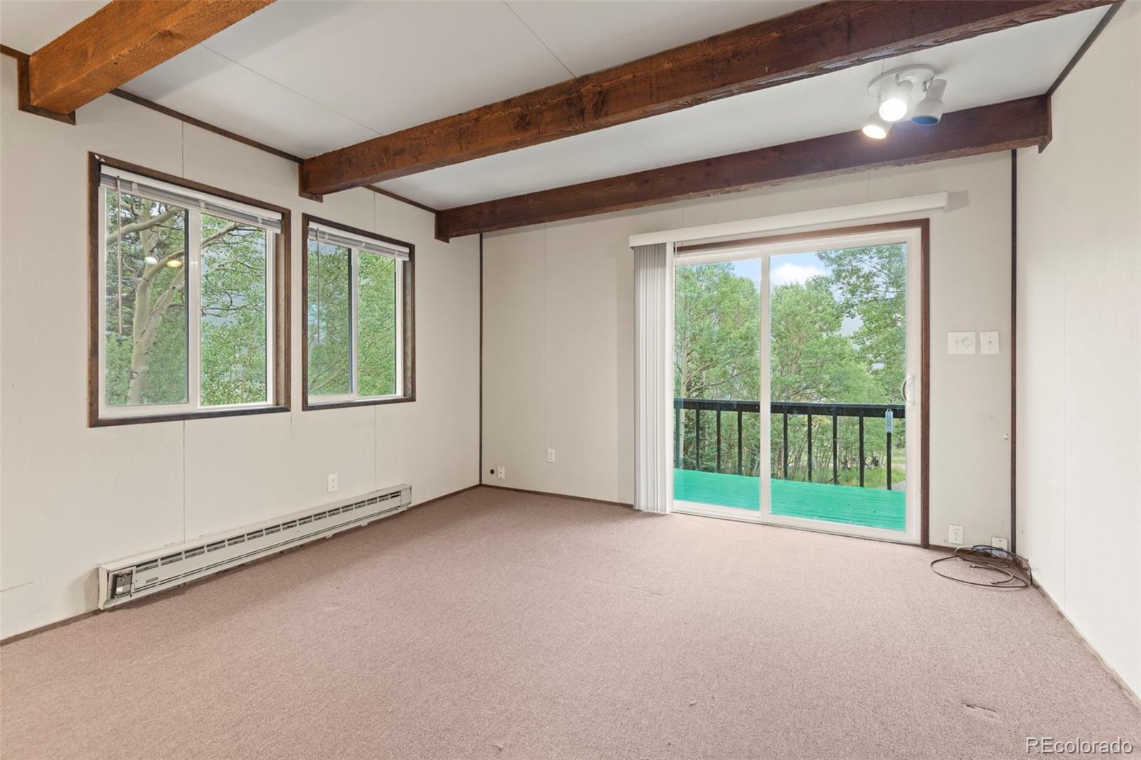 MLS Image #8 for 35  ore court,fairplay, Colorado