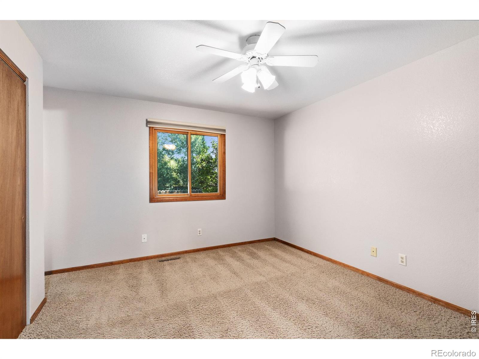 MLS Image #18 for 3318  sun disk court,fort collins, Colorado