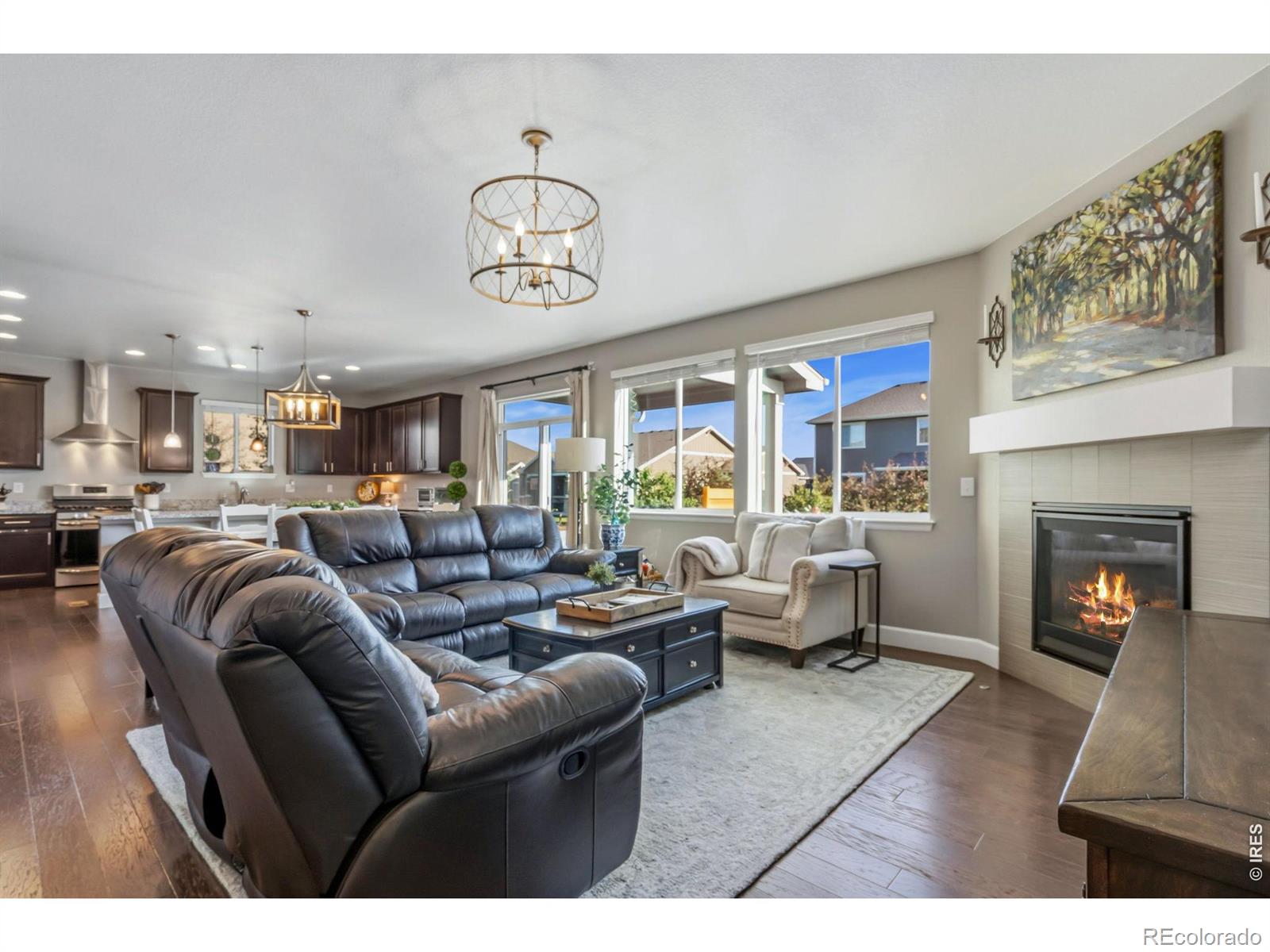 MLS Image #14 for 6083  gannet drive,timnath, Colorado