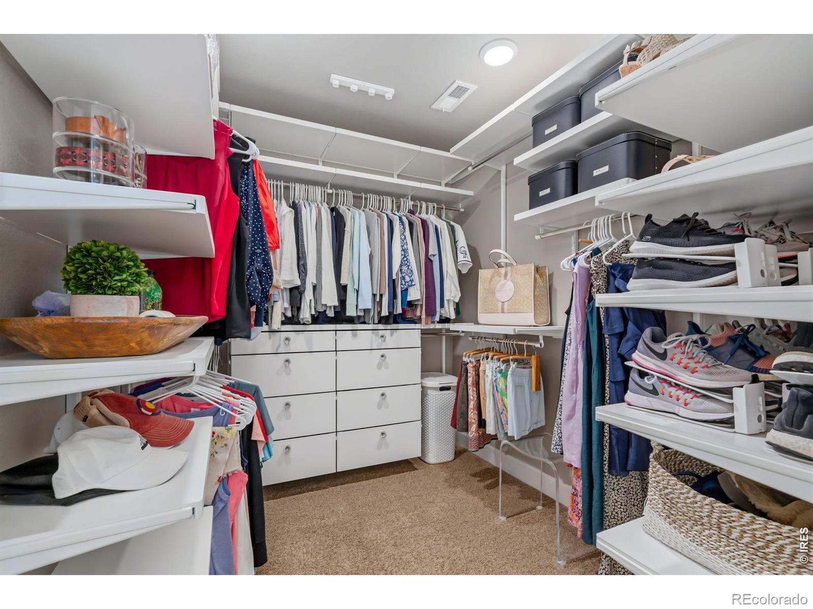 MLS Image #28 for 6083  gannet drive,timnath, Colorado