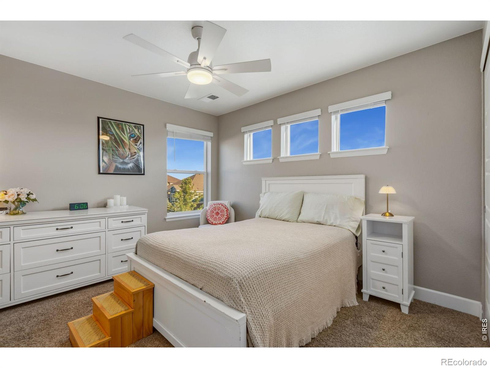 MLS Image #33 for 6083  gannet drive,timnath, Colorado