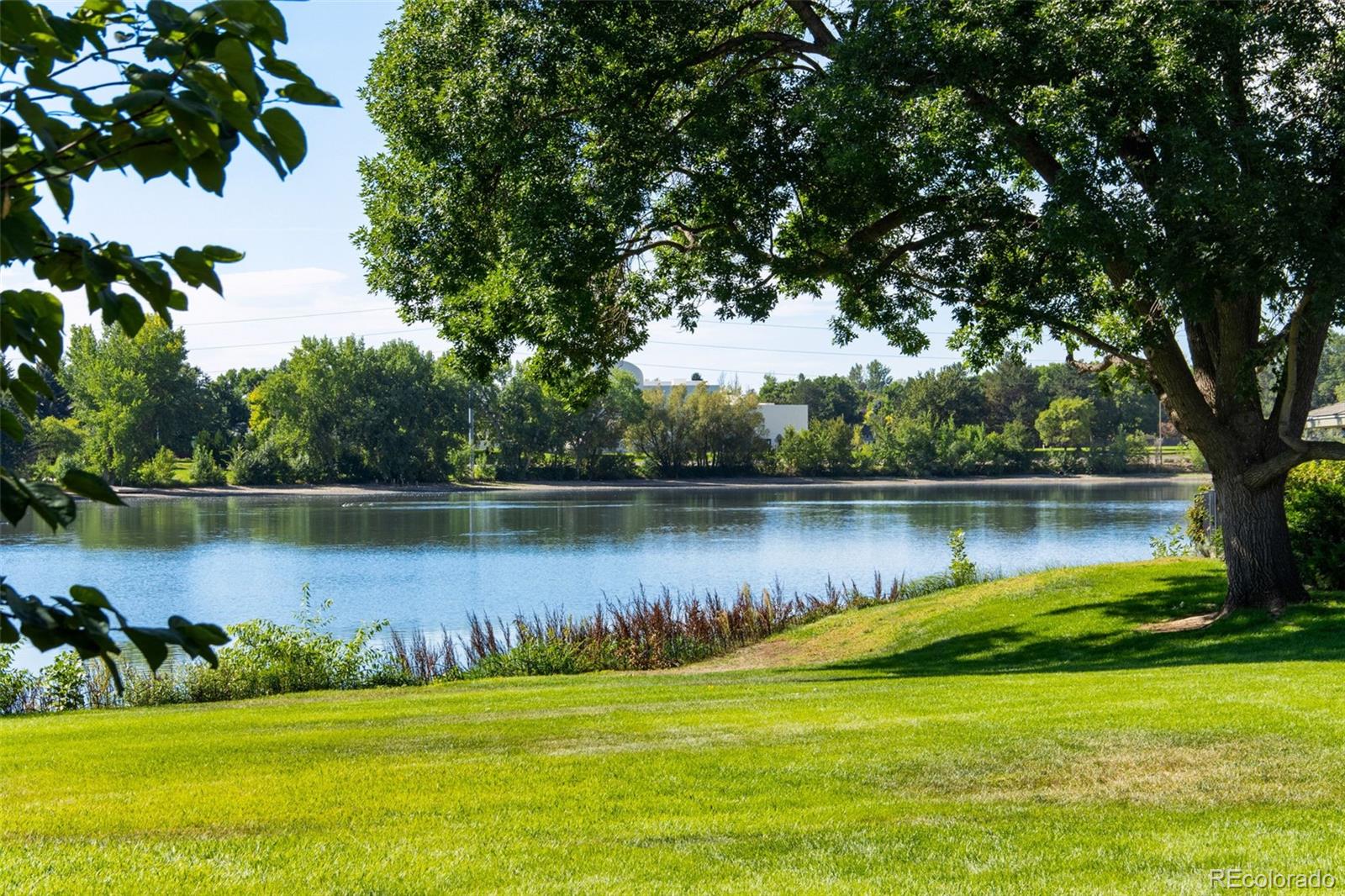 MLS Image #29 for 1115  parkwood drive,fort collins, Colorado