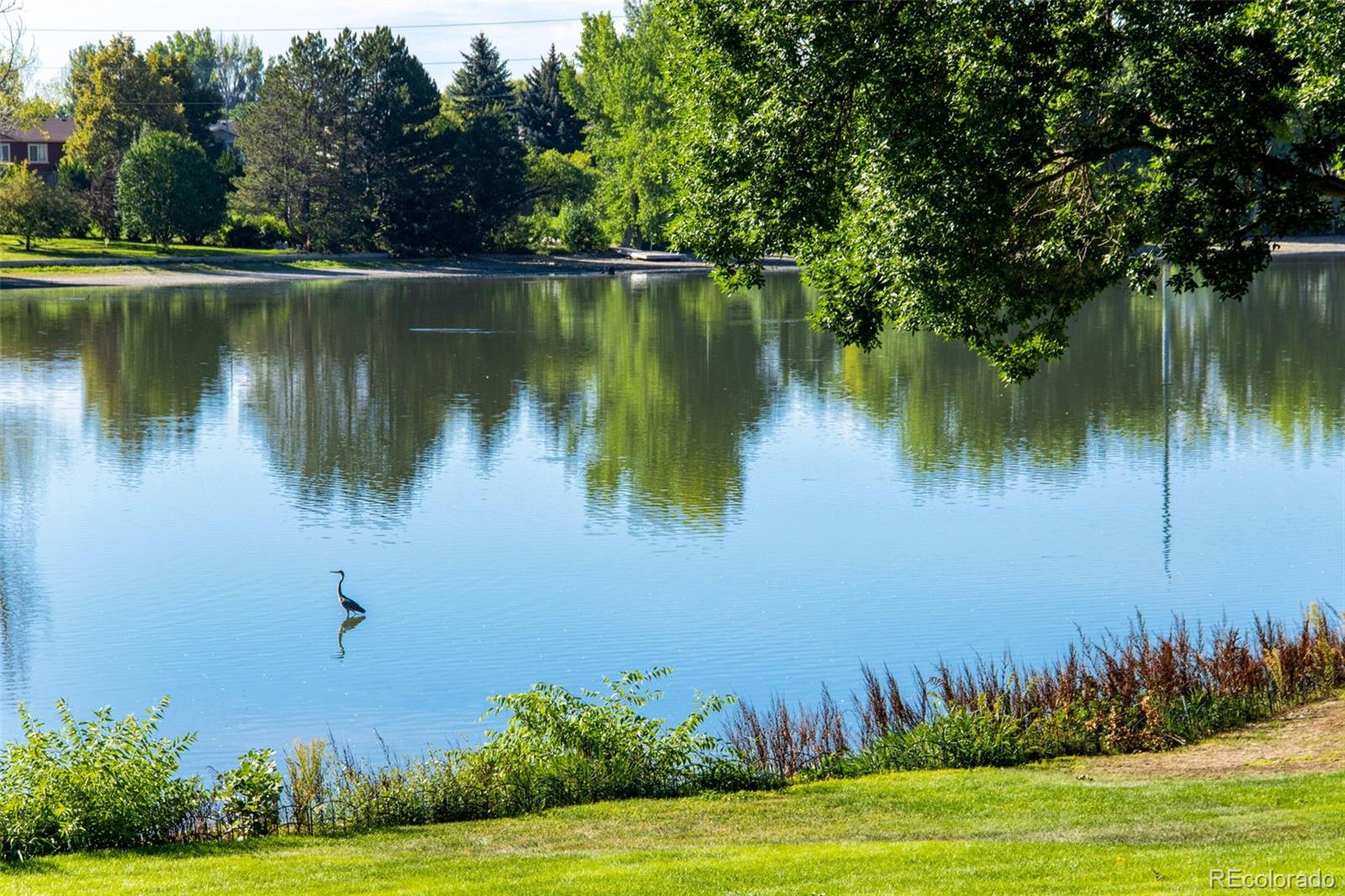 MLS Image #4 for 1115  parkwood drive,fort collins, Colorado