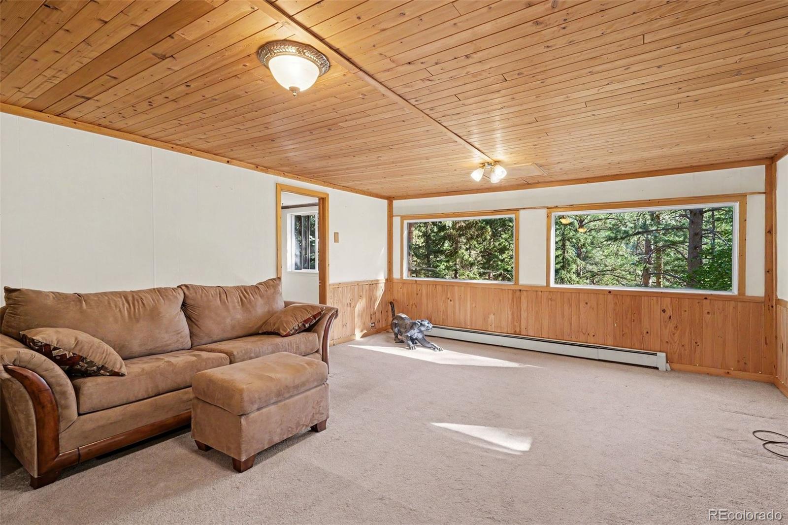 MLS Image #15 for 6411 s summer road,morrison, Colorado