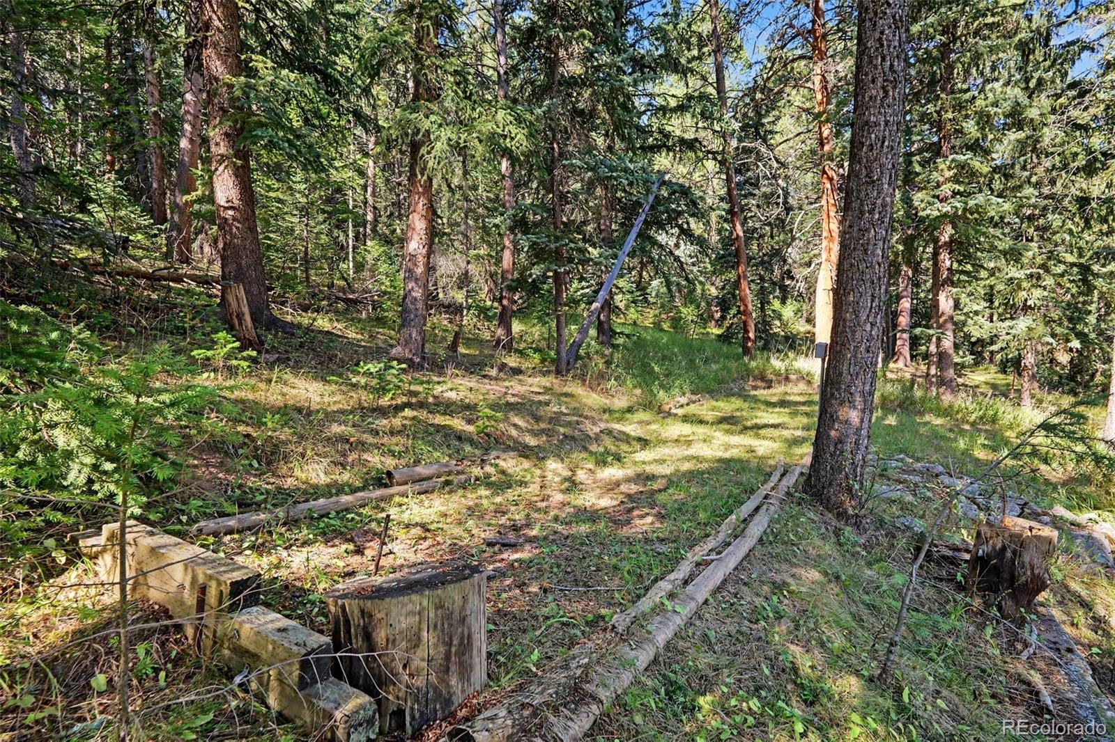 MLS Image #24 for 6411 s summer road,morrison, Colorado
