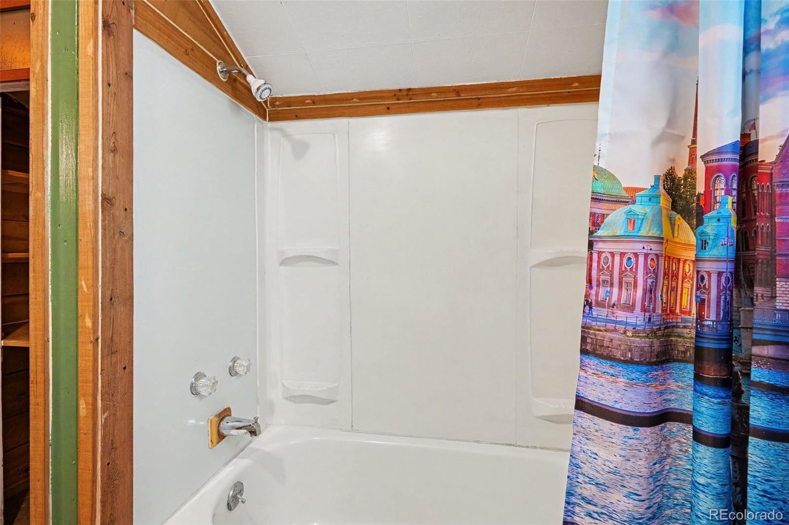 MLS Image #7 for 6411 s summer road,morrison, Colorado