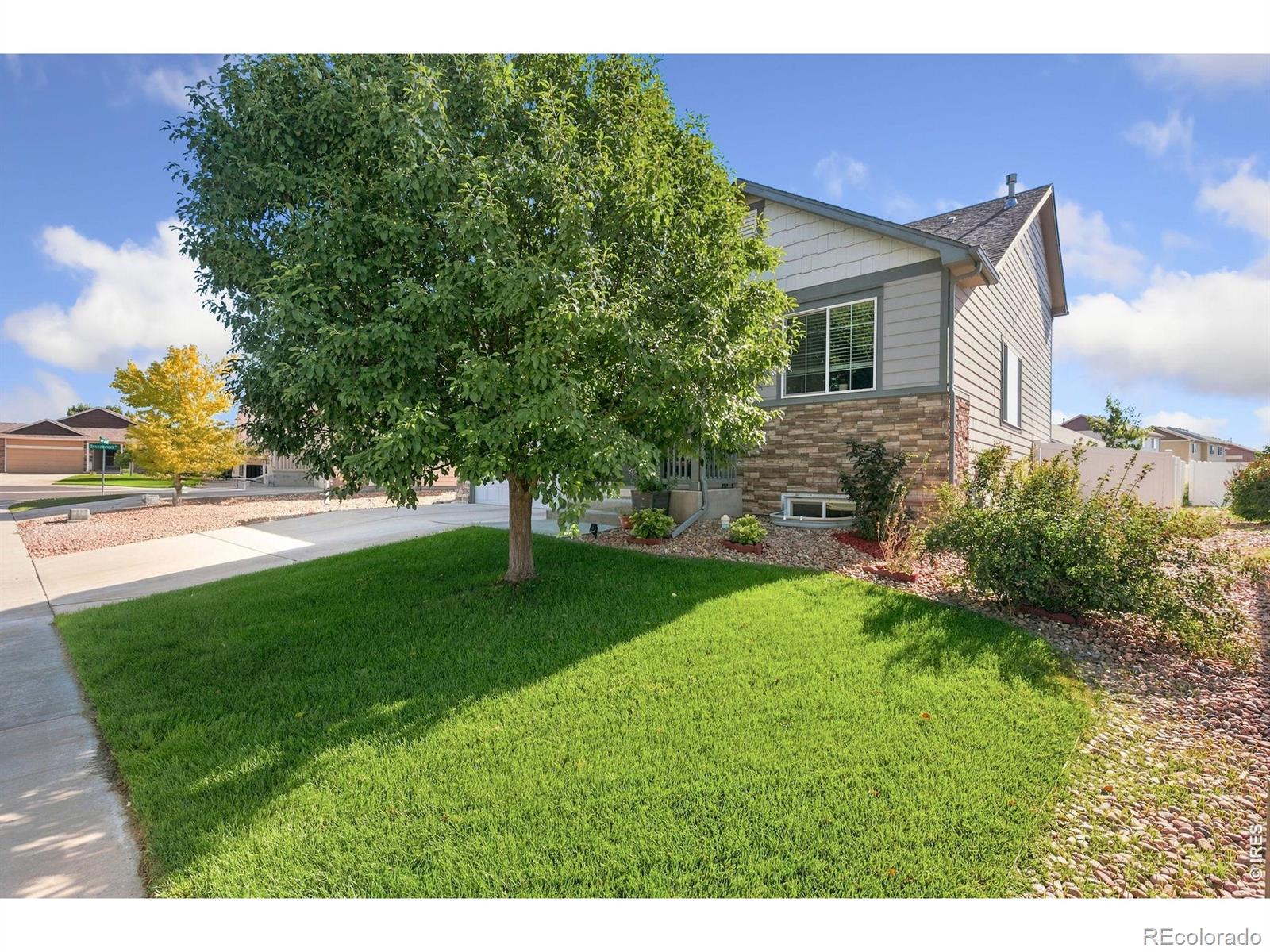 MLS Image #1 for 375  shadowbrook drive,windsor, Colorado