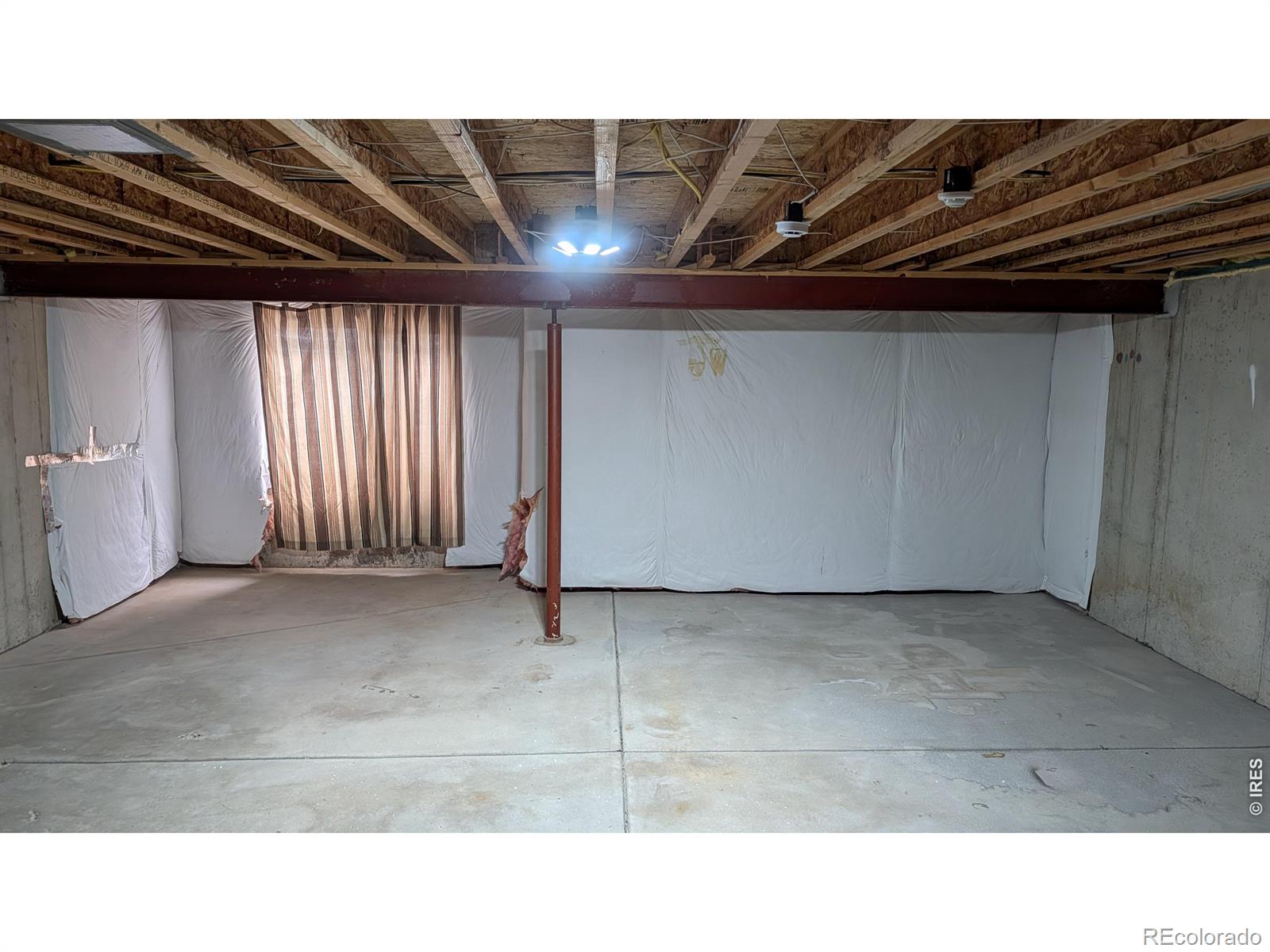 MLS Image #12 for 805  summer hawk drive,longmont, Colorado