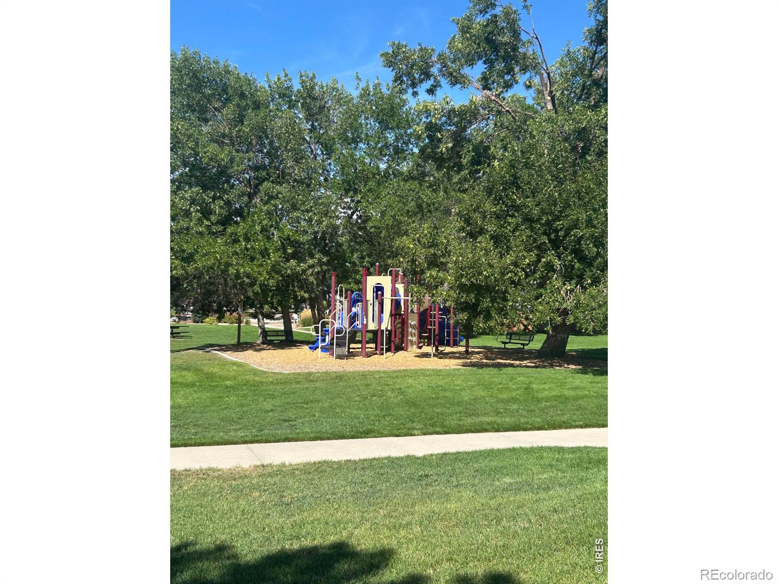 MLS Image #16 for 805  summer hawk drive,longmont, Colorado