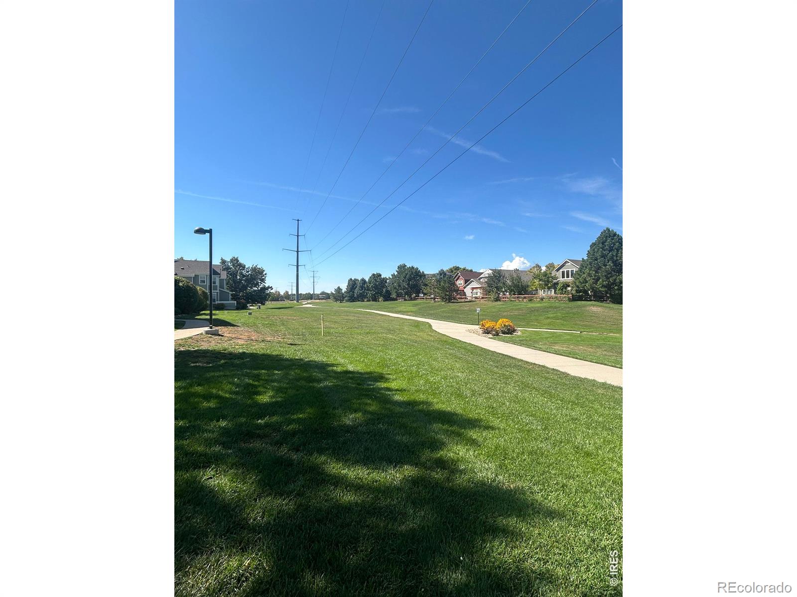 MLS Image #17 for 805  summer hawk drive,longmont, Colorado
