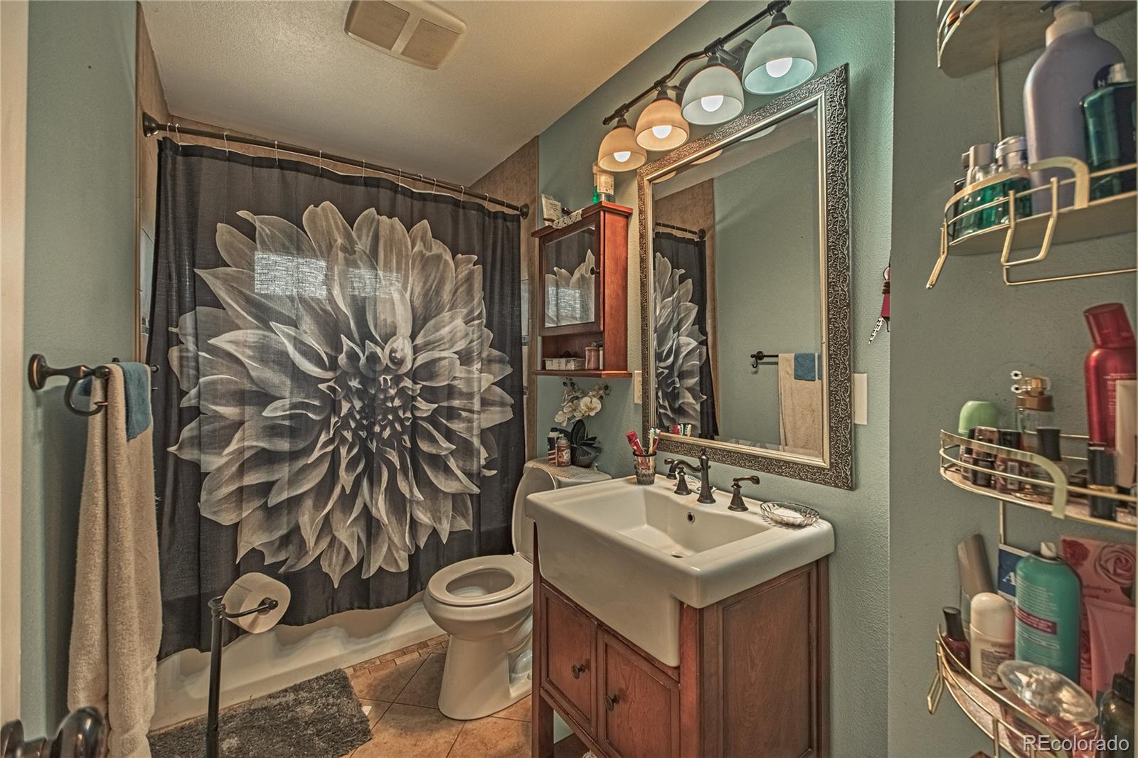 MLS Image #12 for 1118  maxwell street,colorado springs, Colorado