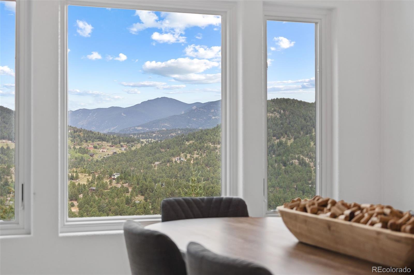 MLS Image #8 for 6798  berry bush lane,evergreen, Colorado