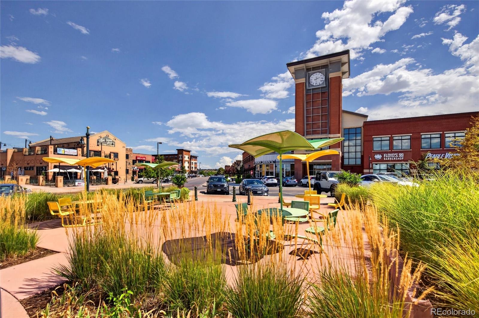 MLS Image #40 for 789  bristle pine circle,littleton, Colorado