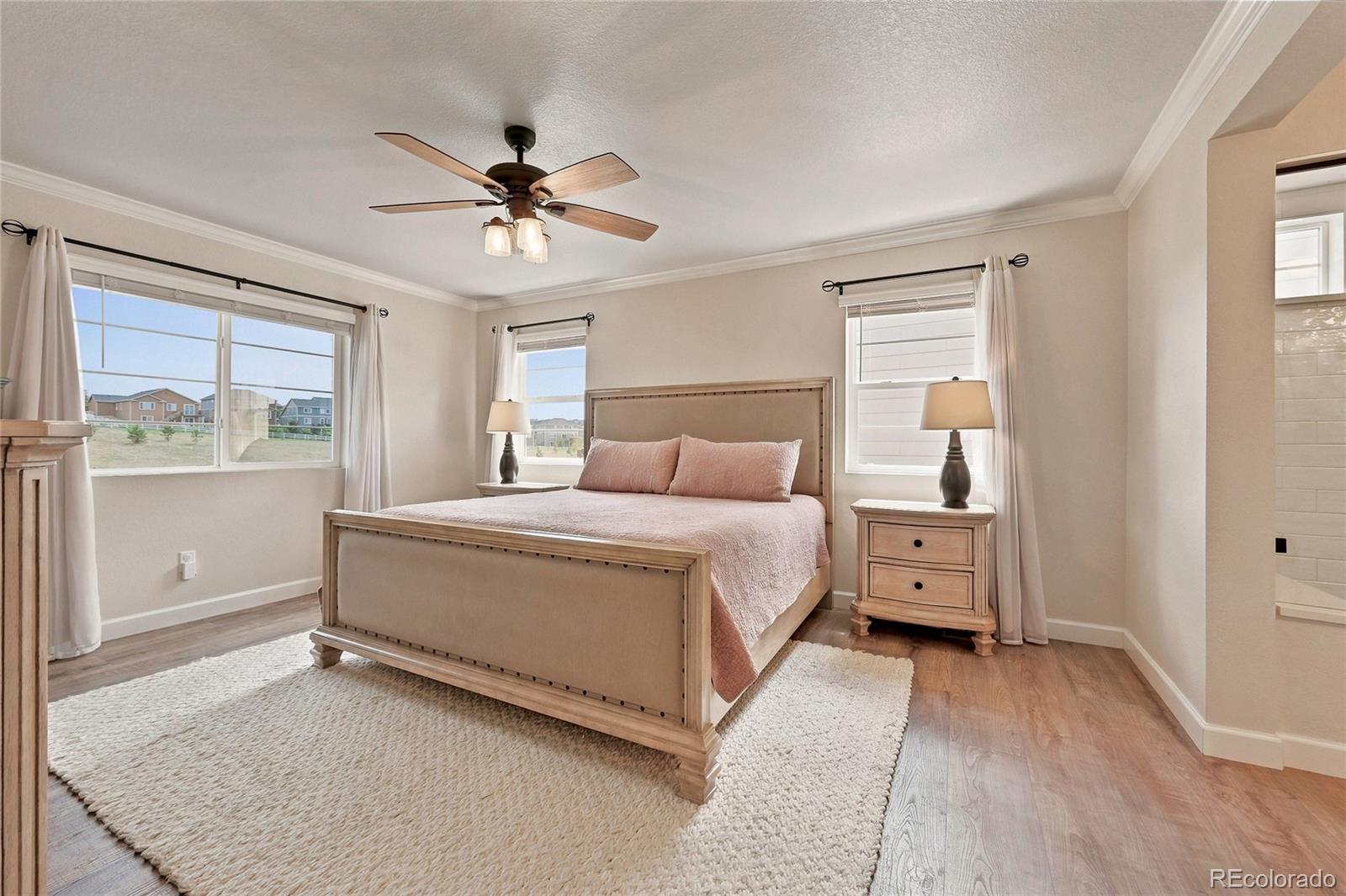 MLS Image #18 for 5462  gray wolf lane,castle rock, Colorado