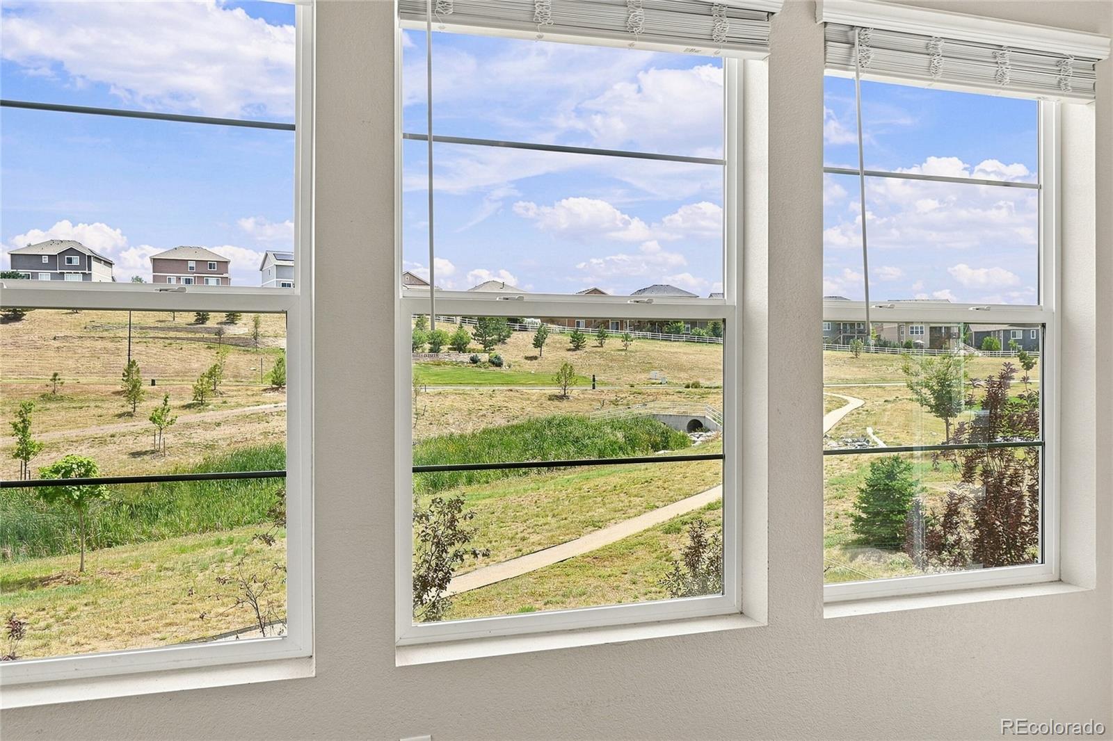 MLS Image #9 for 5462  gray wolf lane,castle rock, Colorado