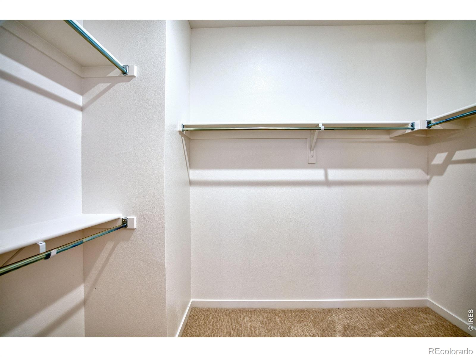 MLS Image #12 for 1456  mullers drive,windsor, Colorado
