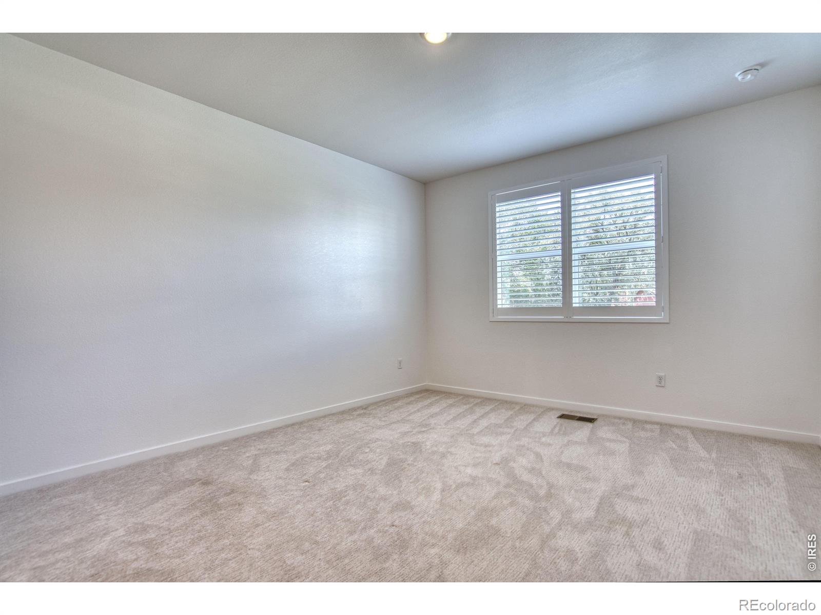 MLS Image #14 for 1456  mullers drive,windsor, Colorado