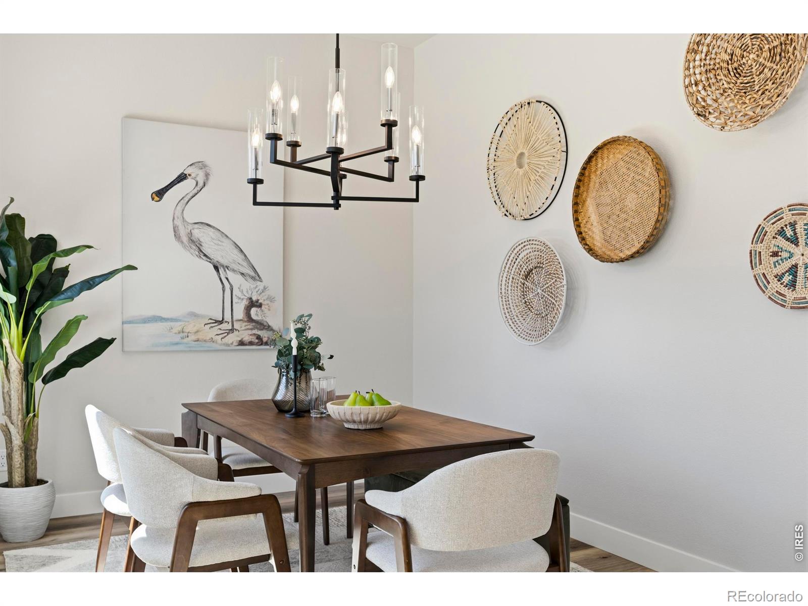 MLS Image #10 for 1727  barefoot drive,windsor, Colorado