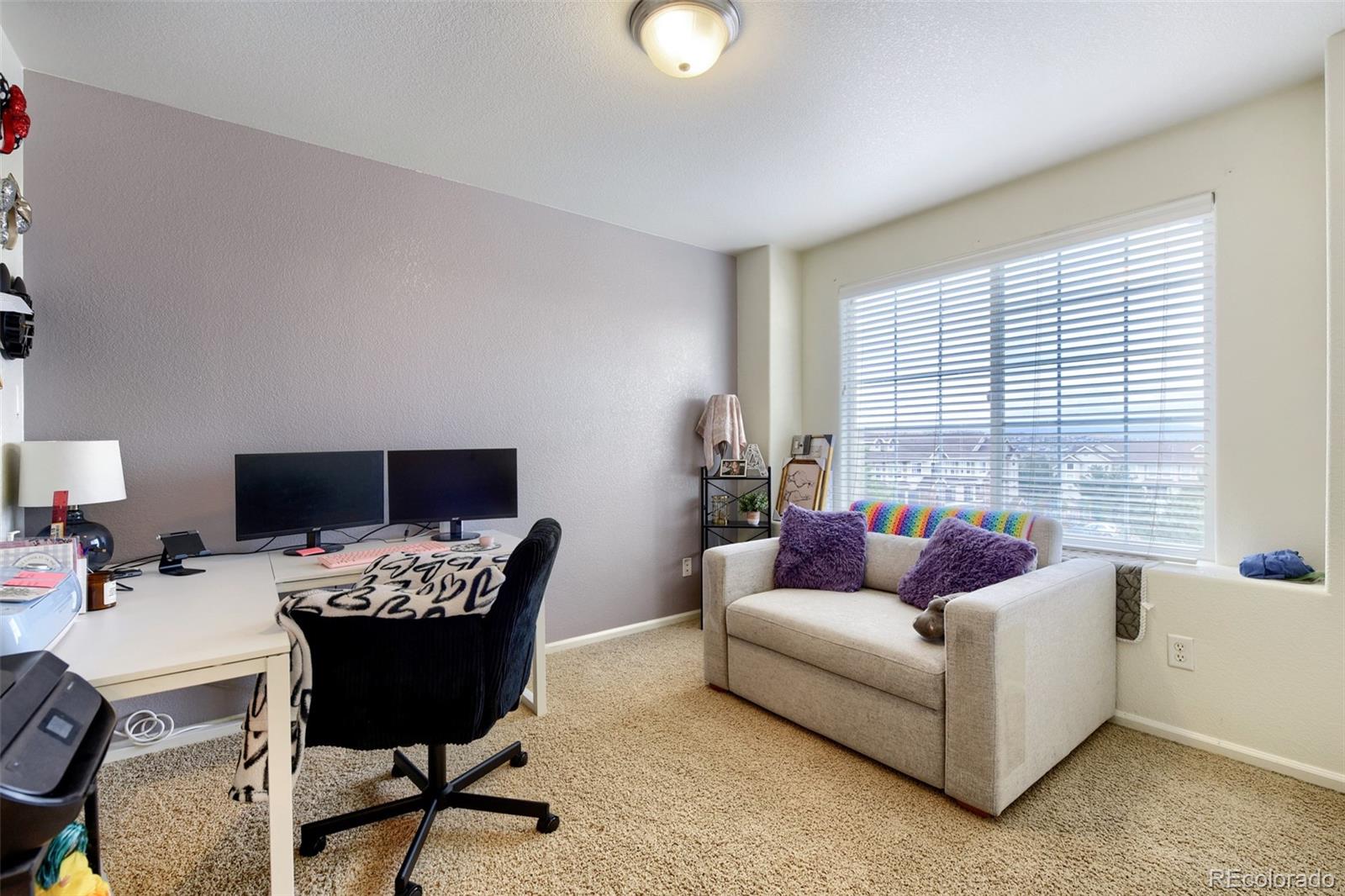 MLS Image #11 for 431  black feather loop,castle rock, Colorado