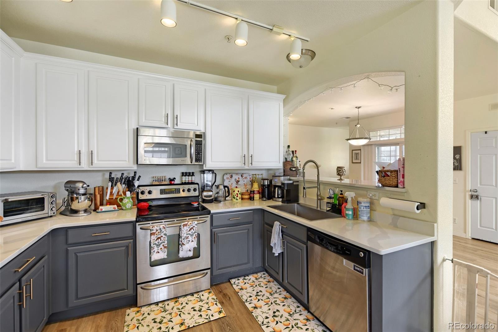 MLS Image #6 for 431  black feather loop,castle rock, Colorado