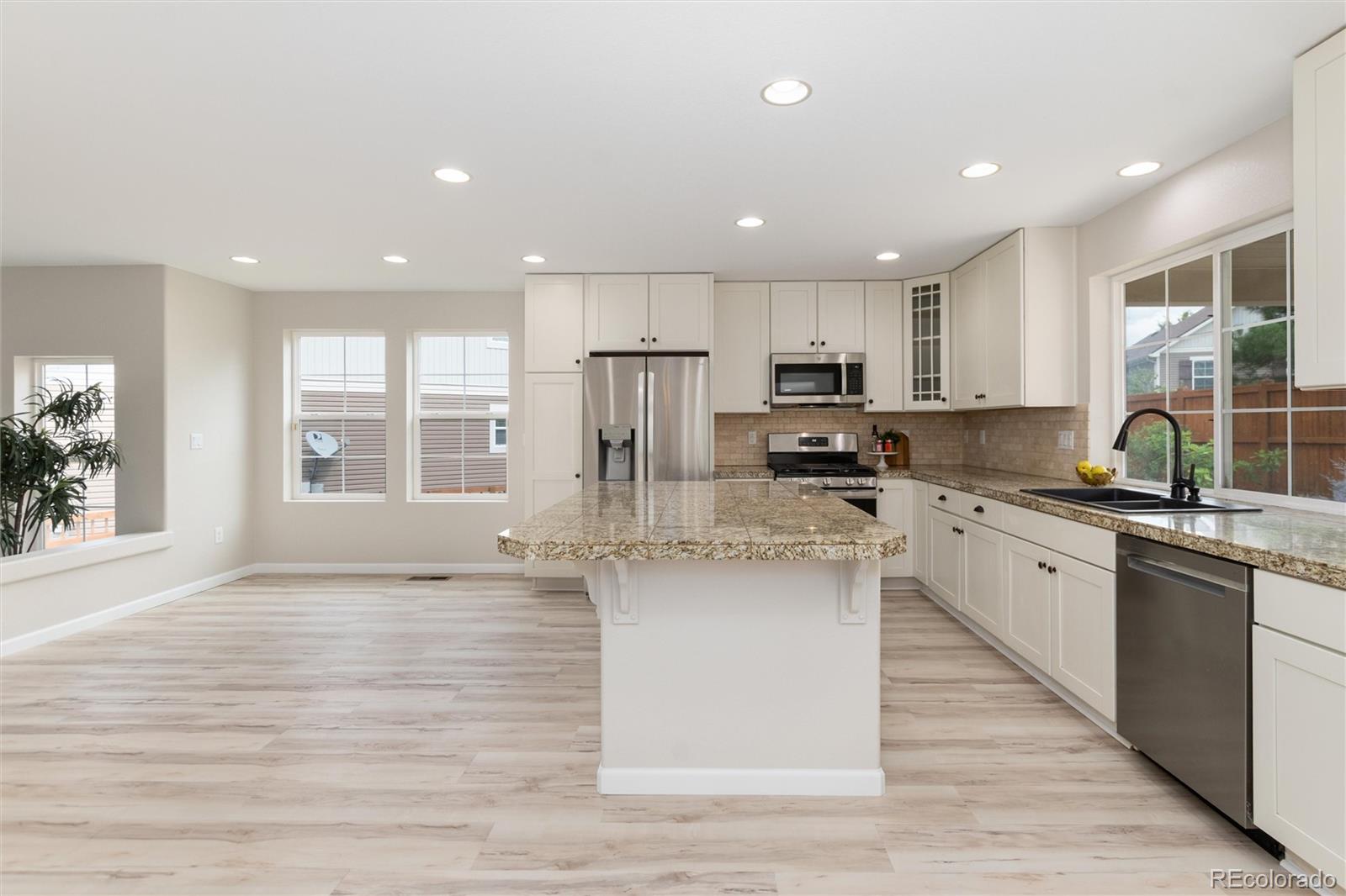 MLS Image #11 for 4068  silver swan place,castle rock, Colorado