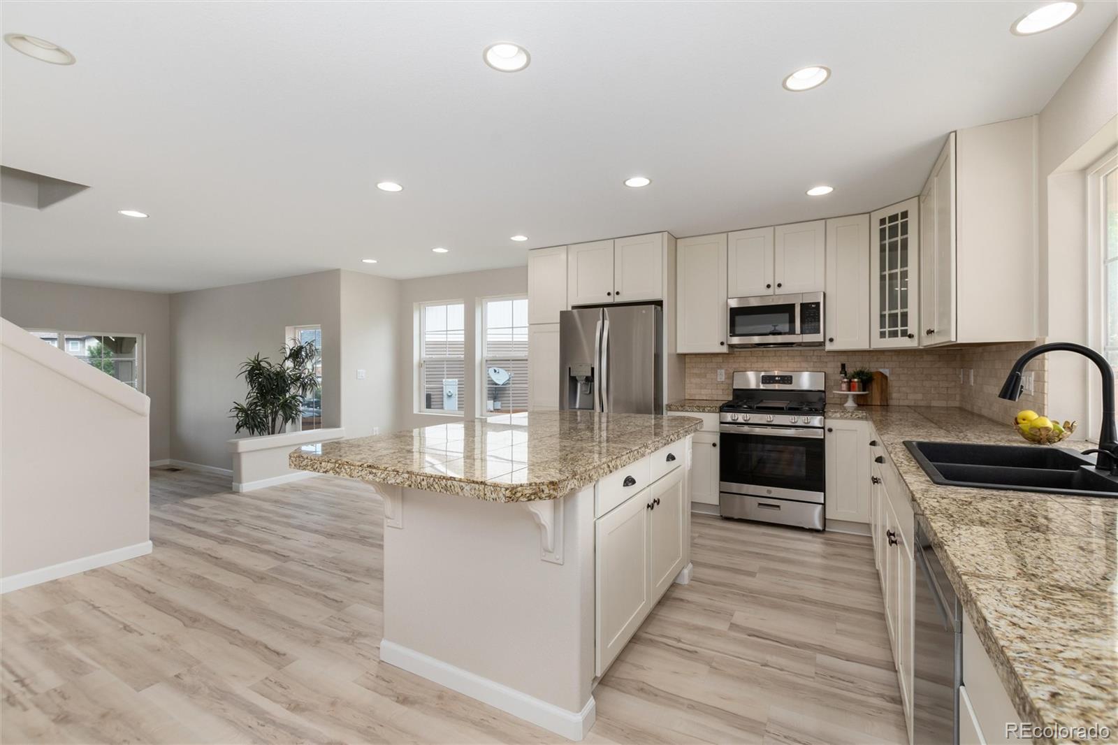 MLS Image #13 for 4068  silver swan place,castle rock, Colorado