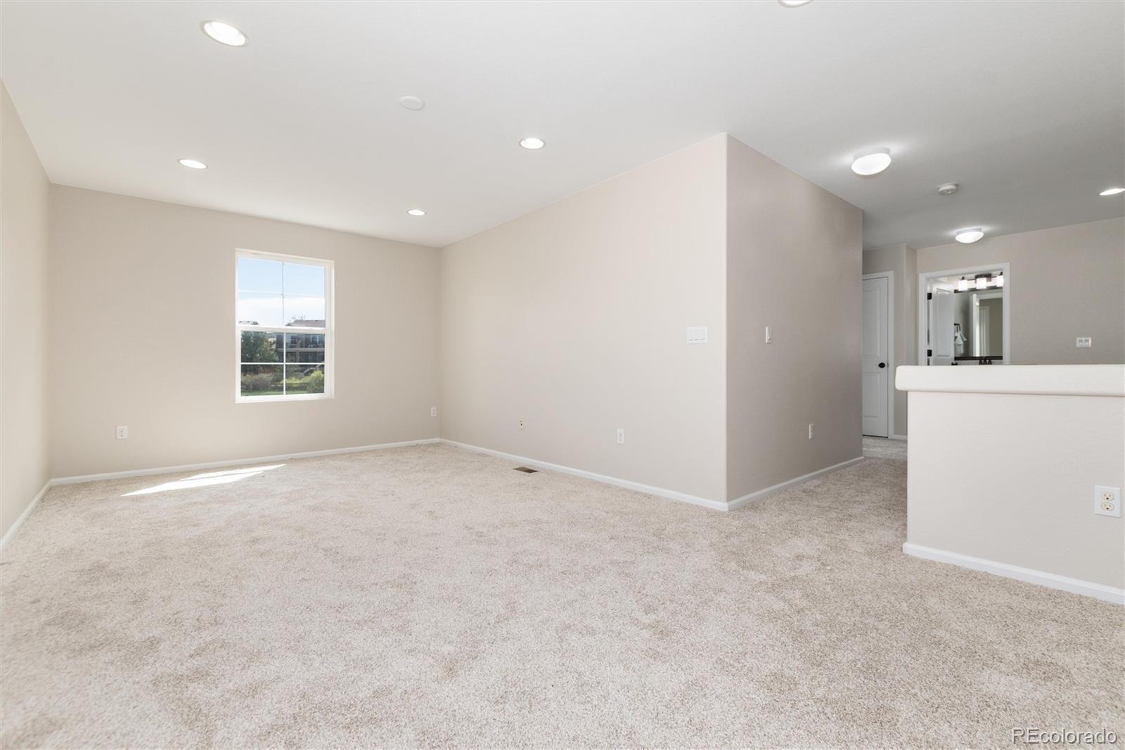 MLS Image #28 for 4068  silver swan place,castle rock, Colorado