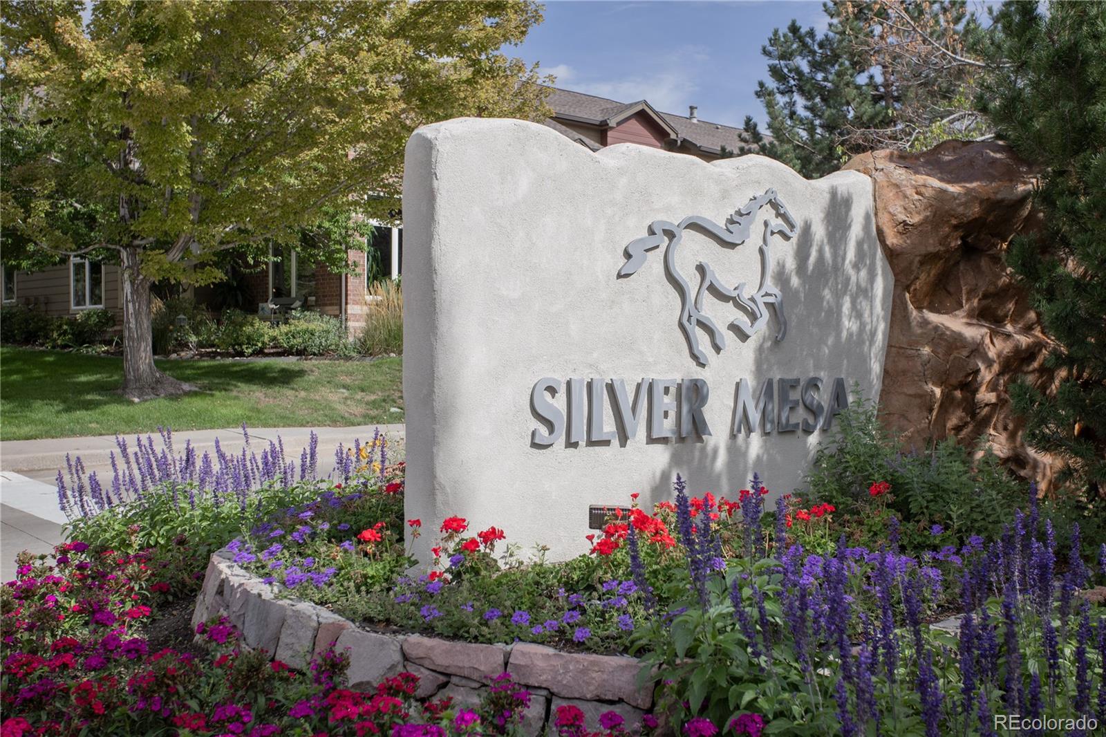 MLS Image #11 for 6414  silver mesa drive,highlands ranch, Colorado