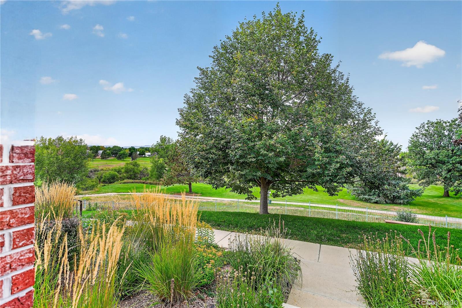 MLS Image #6 for 6414  silver mesa drive,highlands ranch, Colorado
