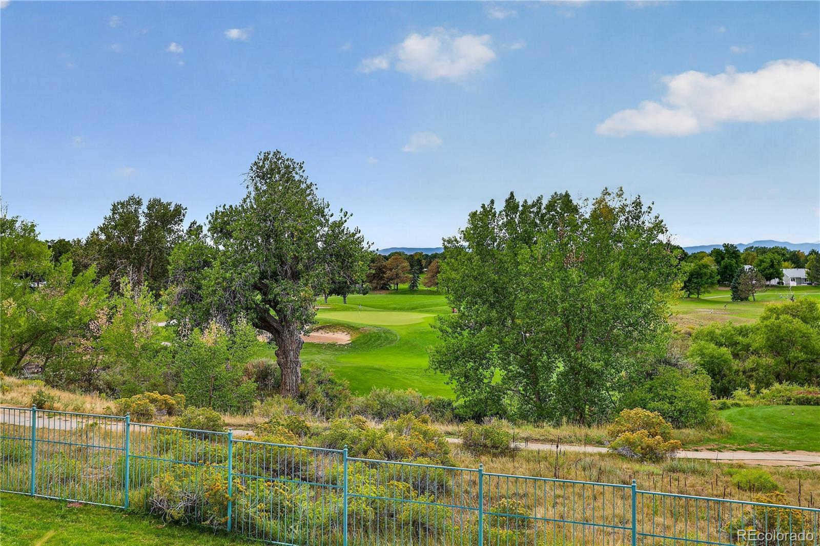 MLS Image #8 for 6414  silver mesa drive,highlands ranch, Colorado