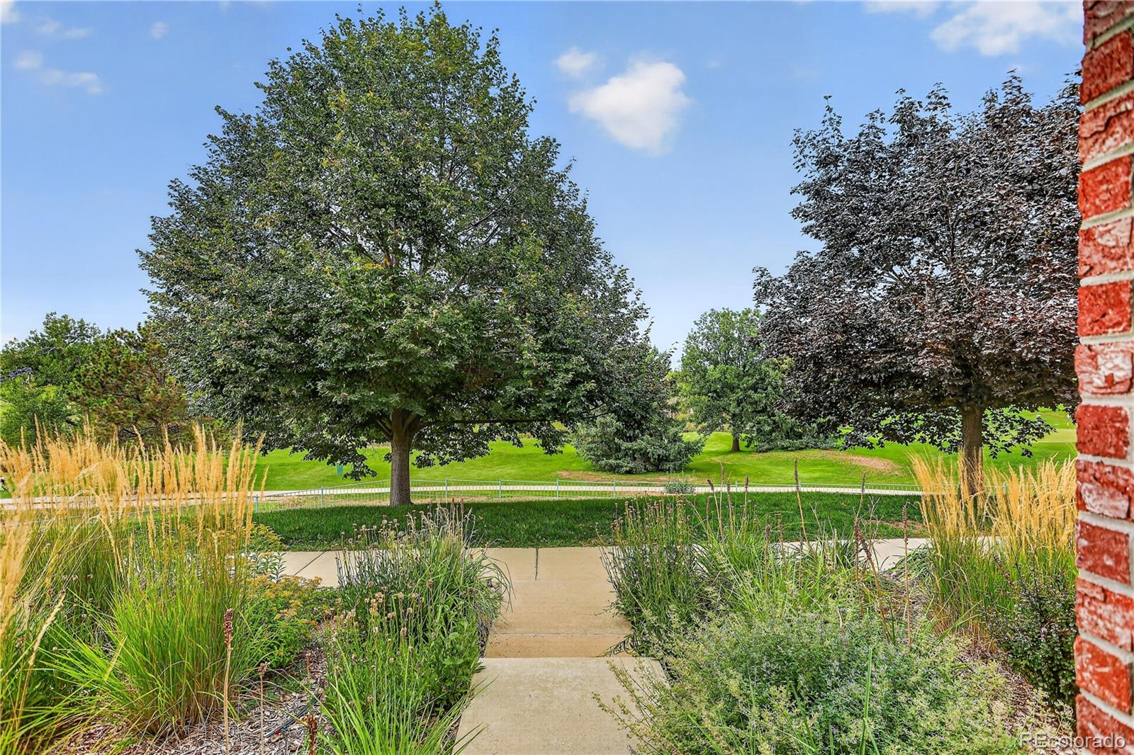MLS Image #9 for 6414  silver mesa drive,highlands ranch, Colorado