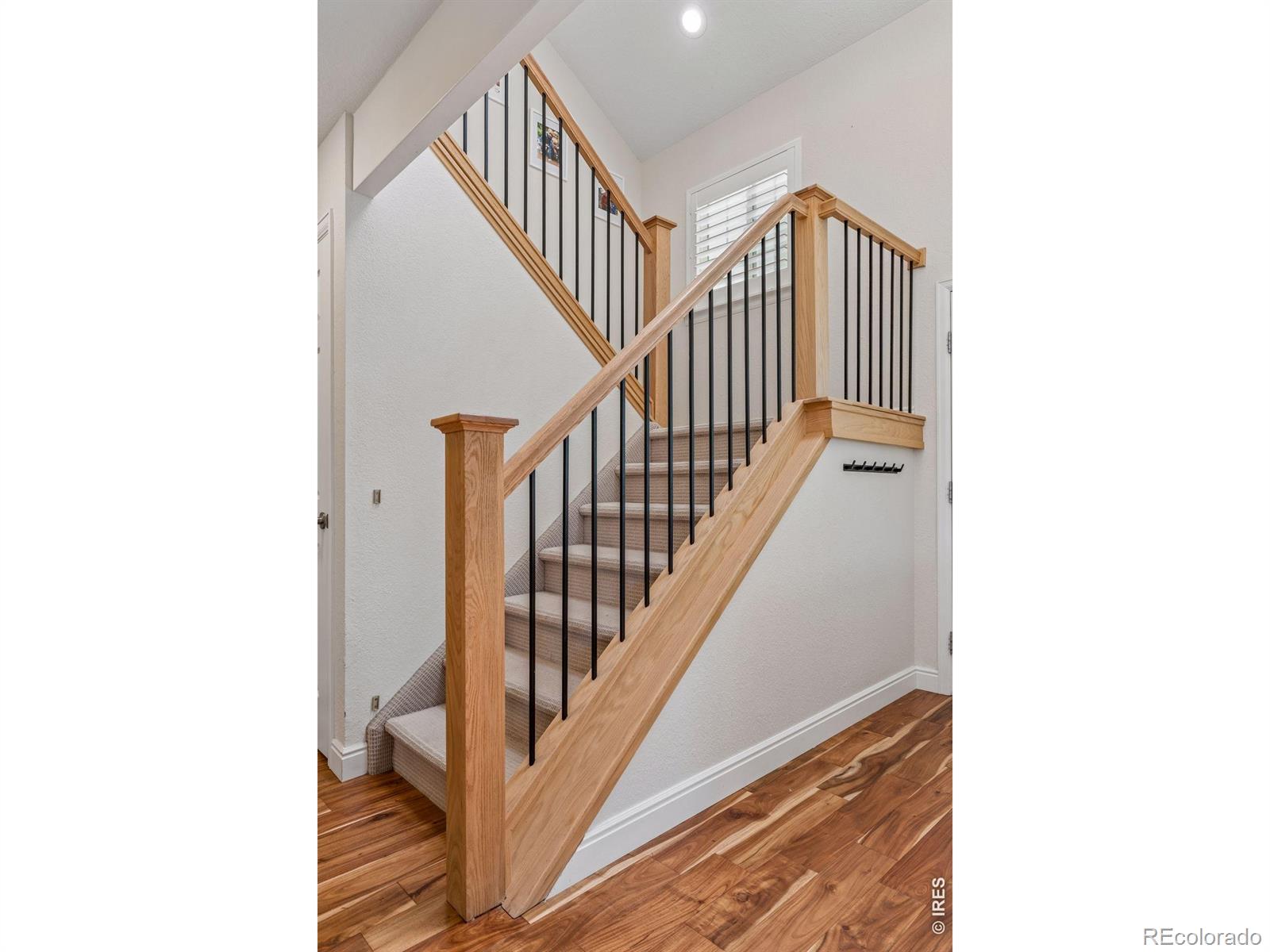 MLS Image #13 for 8099  meadowdale square,niwot, Colorado