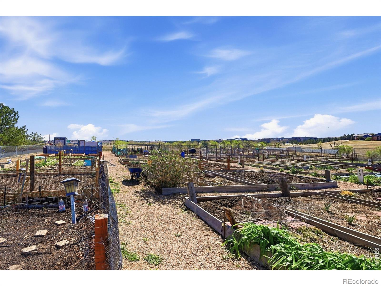 MLS Image #11 for 2040  shamrock drive,superior, Colorado