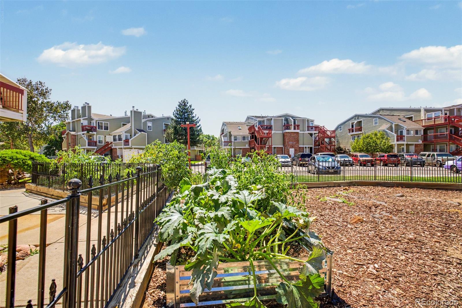 MLS Image #11 for 960 s dawson way,aurora, Colorado