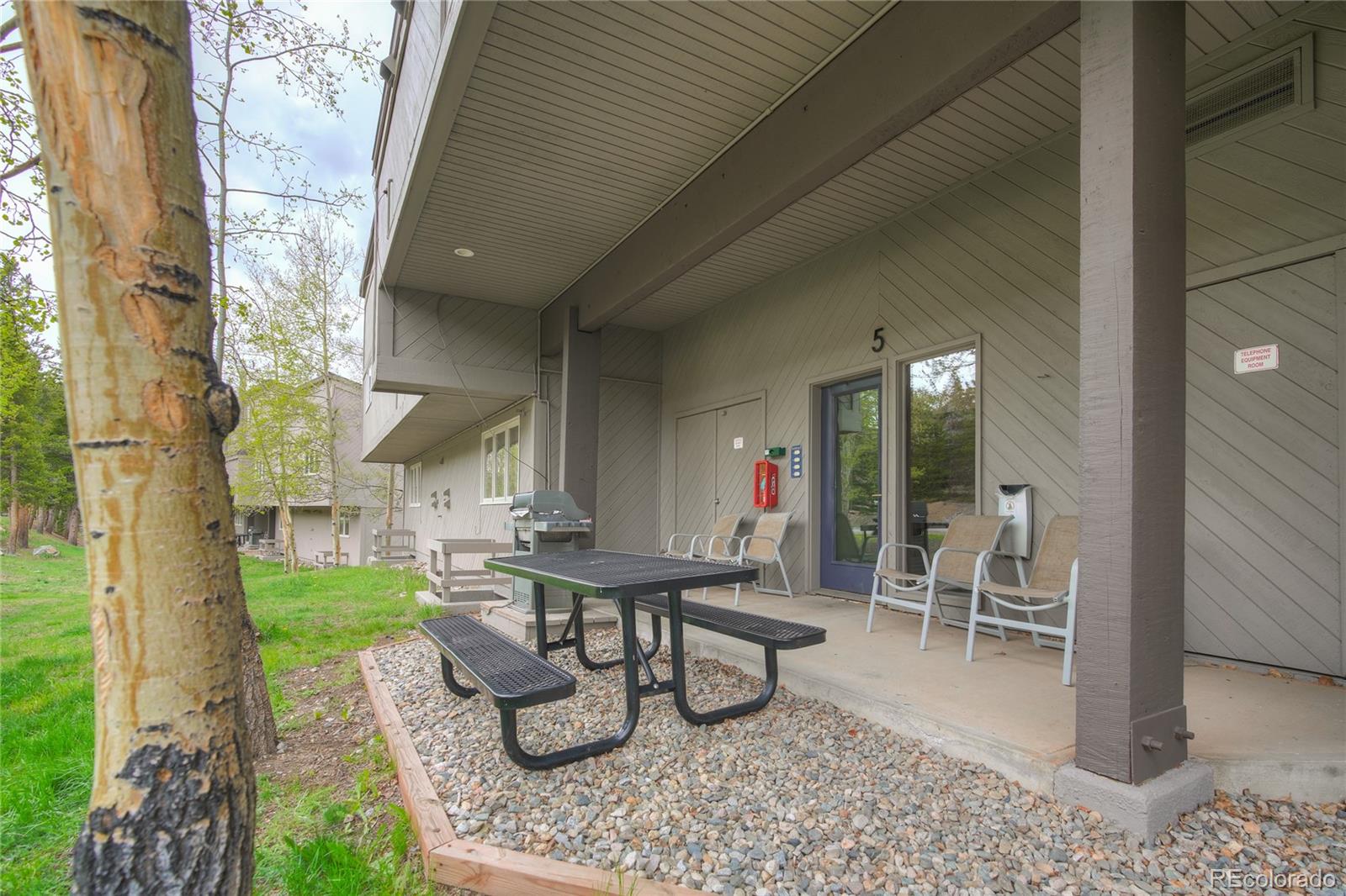 MLS Image #7 for 57 n fuller placer road,breckenridge, Colorado