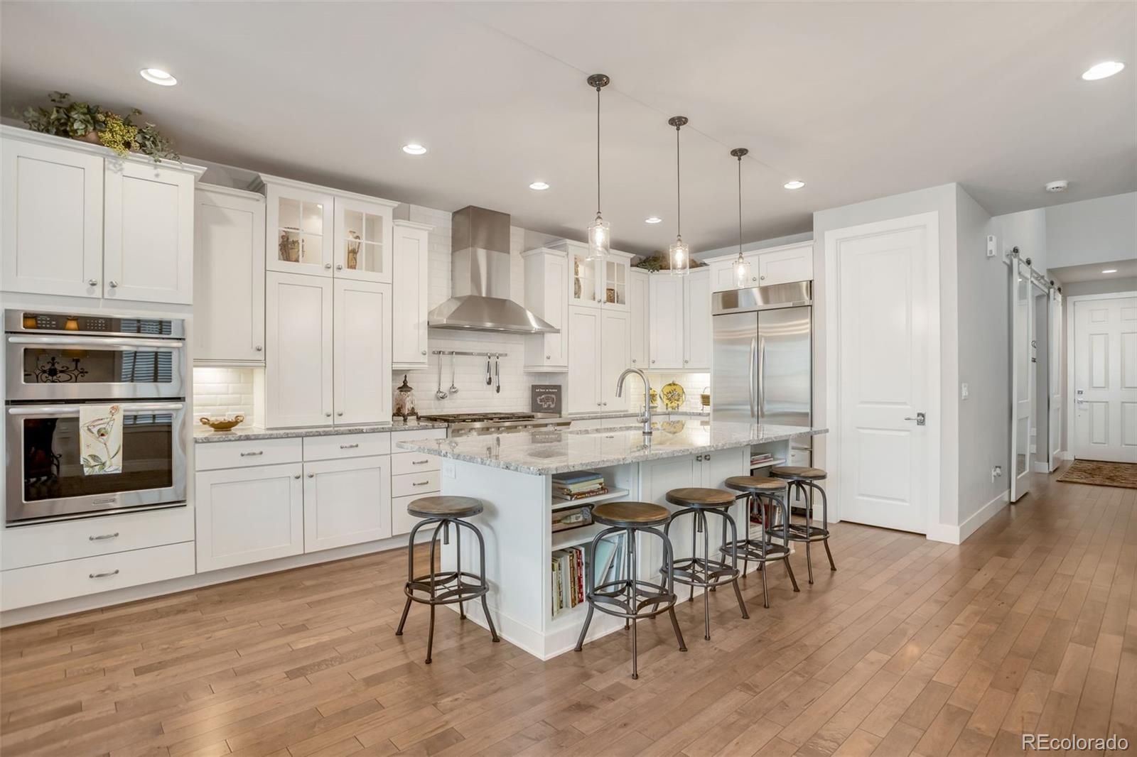MLS Image #1 for 1135 s grant street,denver, Colorado
