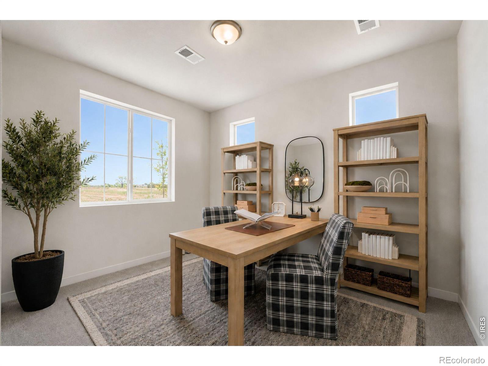MLS Image #11 for 7331  swan river street,frederick, Colorado