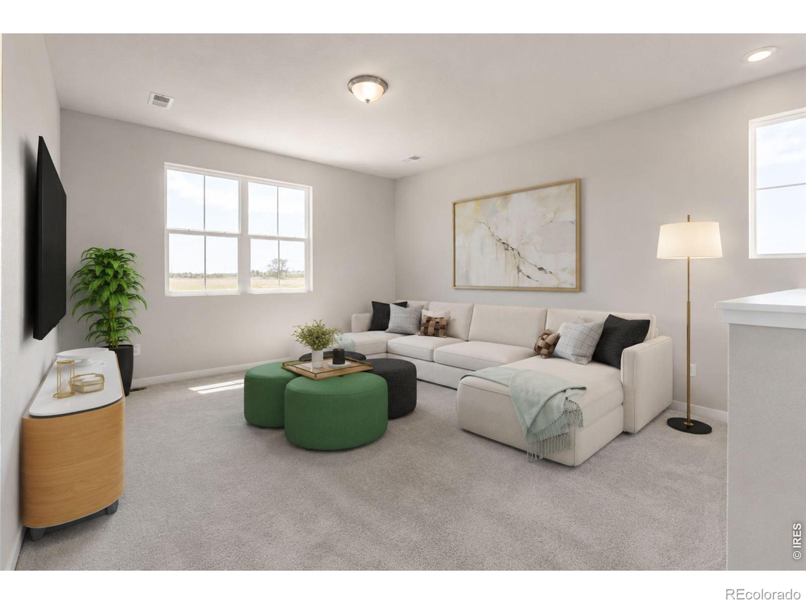 MLS Image #13 for 7331  swan river street,frederick, Colorado