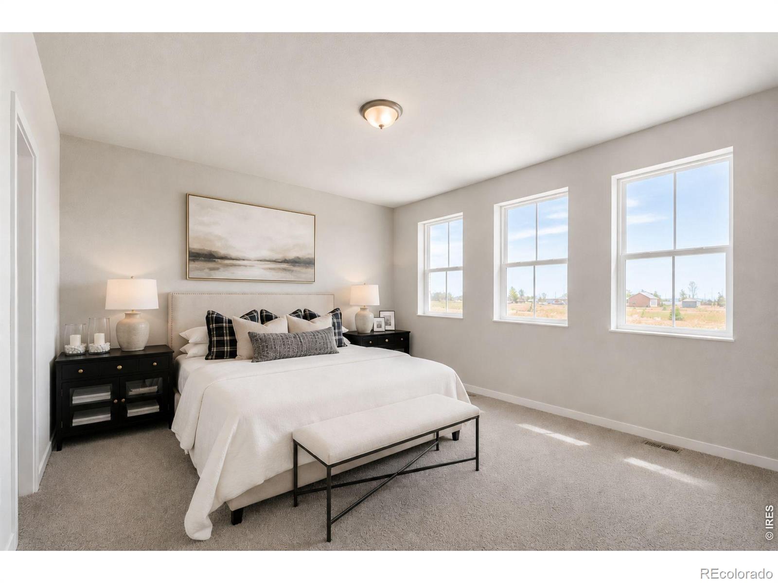 MLS Image #15 for 7331  swan river street,frederick, Colorado