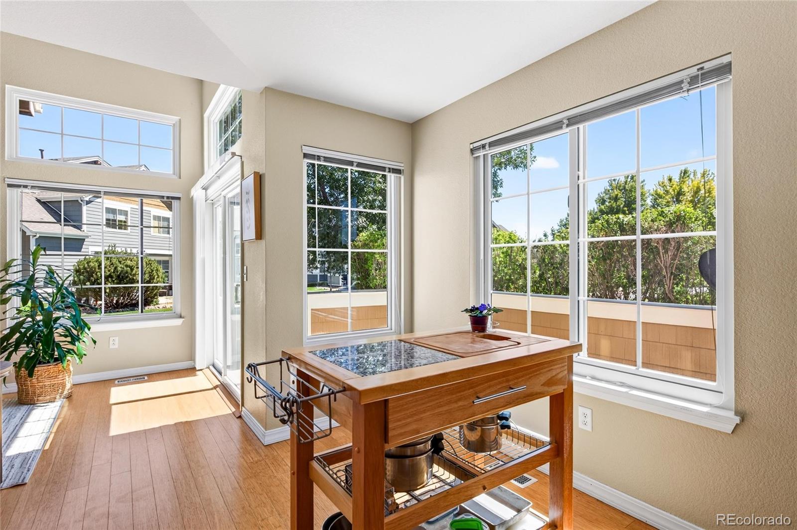 MLS Image #20 for 805  summer hawk drive,longmont, Colorado