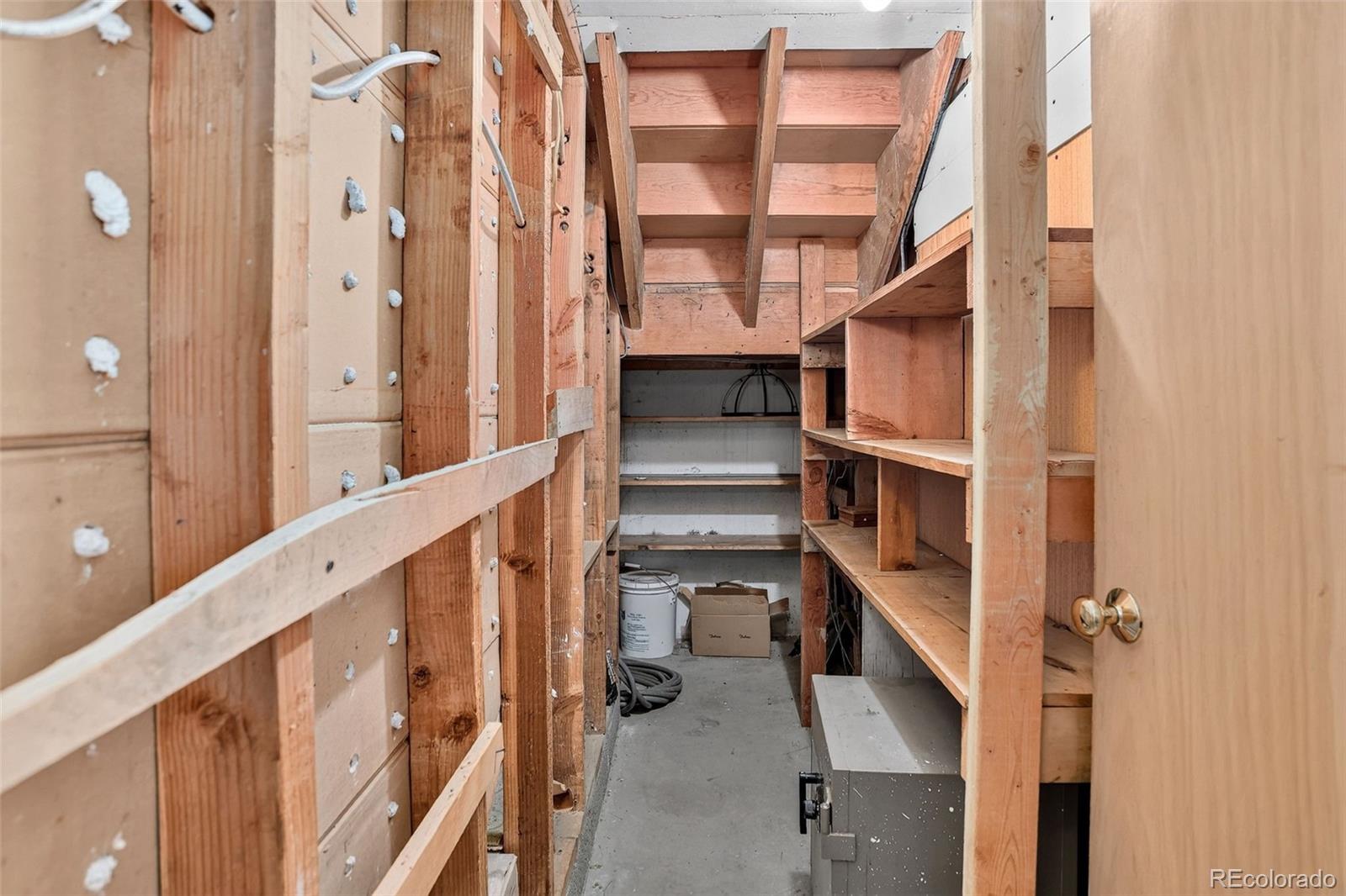 MLS Image #39 for 1520 s corona street,denver, Colorado