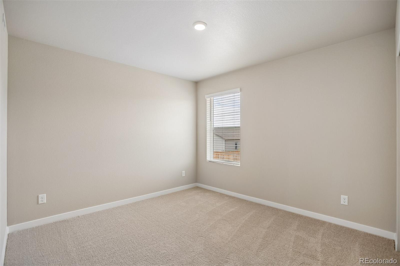 MLS Image #11 for 851  emerald lakes street,windsor, Colorado